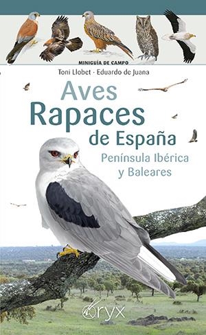 AVES RAPACES DE ESPAÑA, PENÍNSULA IBÉRICA Y BALEARES | 9788418735394 | LLOBET, TONI/DE JUANA, EDUARDO | Galatea Llibres | Librería online de Reus, Tarragona | Comprar libros en catalán y castellano online