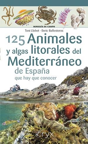 125 ANIMALES Y ALGAS LITORALES DEL MEDITERRÁNEO DE ESPAÑA QUE HAY QUE CONOCER | 9788418735400 | LLOBET, TONI/BALLESTEROS, ENRIC | Galatea Llibres | Librería online de Reus, Tarragona | Comprar libros en catalán y castellano online