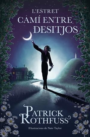 L'ESTRET CAMÍ ENTRE DESITJOS | 9788419259820 | ROTHFUSS, PATRICK | Galatea Llibres | Llibreria online de Reus, Tarragona | Comprar llibres en català i castellà online