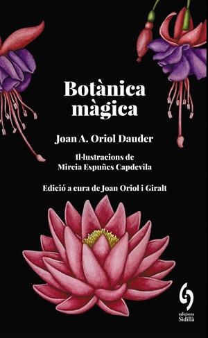 BOTÀNICA MÀGICA | 9788412730876 | ORIOL DAUDER, JOAN ANTON | Galatea Llibres | Llibreria online de Reus, Tarragona | Comprar llibres en català i castellà online