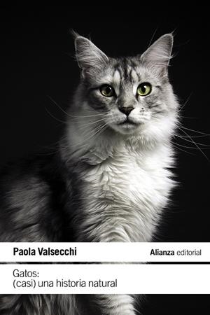 GATOS. CASI UNA HISTORIA NATURAL | 9788411485616 | VALSECCHI, PAOLA | Galatea Llibres | Llibreria online de Reus, Tarragona | Comprar llibres en català i castellà online