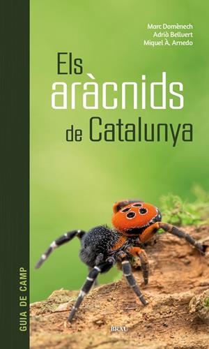 ELS ARÀCNIDS DE CATALUNYA | 9788418096686 | DOMÈNECH ANDREU, MARC/BELLVERT BANTÍ, ADRIÀ/ARNEDO LOMBARTE, MIQUEL ÀNGEL | Galatea Llibres | Llibreria online de Reus, Tarragona | Comprar llibres en català i castellà online