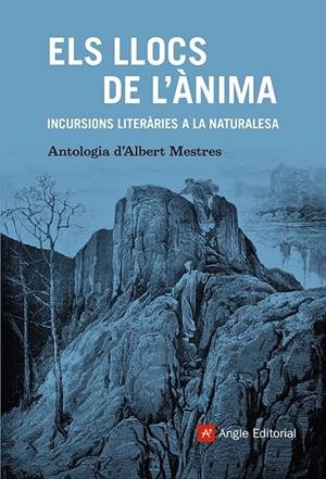 ELS LLOCS DE L'ÀNIMA | 9788410112179 | MESTRES, ALBERT | Galatea Llibres | Llibreria online de Reus, Tarragona | Comprar llibres en català i castellà online