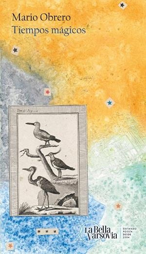 TIEMPOS MÁGICOS | 9788433922946 | OBRERO, MARIO | Galatea Llibres | Librería online de Reus, Tarragona | Comprar libros en catalán y castellano online