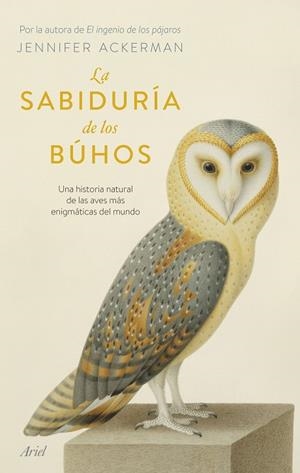 LA SABIDURÍA DE LOS BÚHOS | 9788434437456 | ACKERMAN, JENNIFER | Galatea Llibres | Llibreria online de Reus, Tarragona | Comprar llibres en català i castellà online