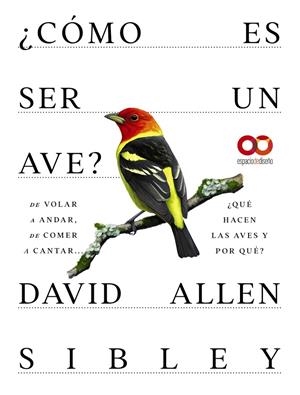 ¿CÓMO ES SER UN AVE? | 9788441549050 | ALLEN SIBLEY, DAVID | Galatea Llibres | Llibreria online de Reus, Tarragona | Comprar llibres en català i castellà online