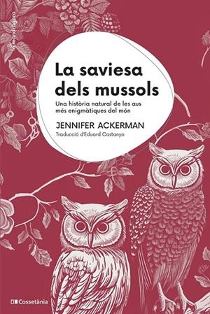 LA SAVIESA DELS MUSSOLS | 9788413563558 | ACKERMAN, JENNIFER | Galatea Llibres | Librería online de Reus, Tarragona | Comprar libros en catalán y castellano online