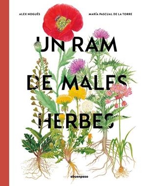 UN RAM DE MALES HERBES | 9788410016132 | NOGUÉS, ALEX | Galatea Llibres | Llibreria online de Reus, Tarragona | Comprar llibres en català i castellà online