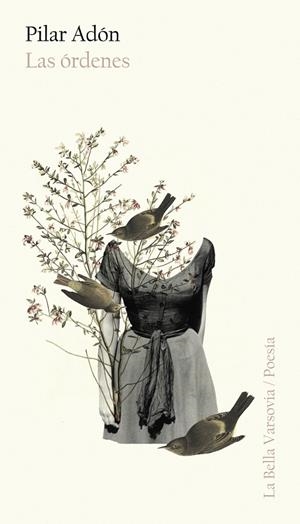 LAS ÓRDENES | 9788494654497 | ADÓN, PILAR | Galatea Llibres | Librería online de Reus, Tarragona | Comprar libros en catalán y castellano online