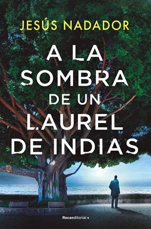 A LA SOMBRA DE UN LAUREL DE INDIAS | 9788410096011 | NADADOR, JESÚS | Galatea Llibres | Librería online de Reus, Tarragona | Comprar libros en catalán y castellano online
