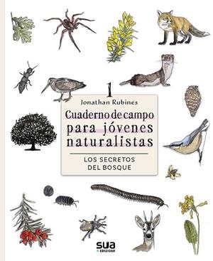 LOS SECRETOS DEL BOSQUE. CUADERNO DE CAMPO PARA JOVENES NATURALISTAS | 9788482168883 | RUBINES GARCÍA, JONATHAN | Galatea Llibres | Llibreria online de Reus, Tarragona | Comprar llibres en català i castellà online