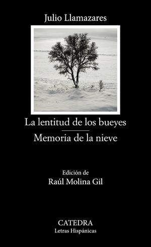 LA LENTITUD DE LOS BUEYES / MEMORIA DE LA NIEVE | 9788437647791 | LLAMAZARES, JULIO | Galatea Llibres | Llibreria online de Reus, Tarragona | Comprar llibres en català i castellà online