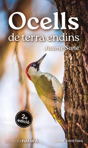 OCELLS DE TERRA ENDINS | 9788413563725 | SAÑÉ, JAUME | Galatea Llibres | Librería online de Reus, Tarragona | Comprar libros en catalán y castellano online