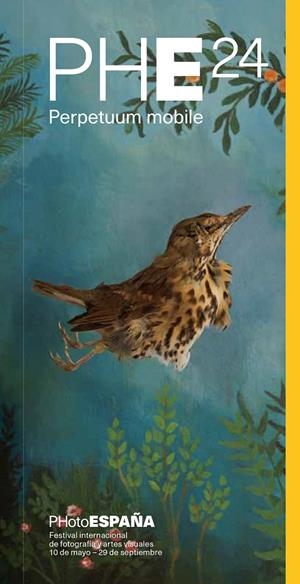 GUÍA PHOTOESPAÑA 2024 | 9788410024359 | Galatea Llibres | Llibreria online de Reus, Tarragona | Comprar llibres en català i castellà online