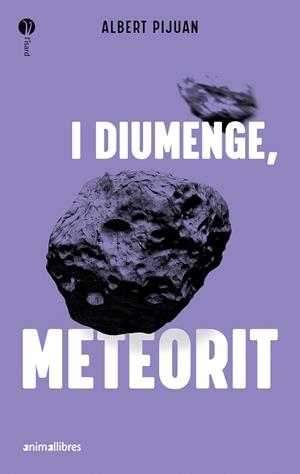 I DIUMENGE, METEORIT | 9788419659415 | PIJUAN, ALBERT | Galatea Llibres | Llibreria online de Reus, Tarragona | Comprar llibres en català i castellà online