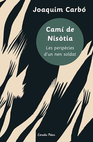 CAMI DE NISOTIA | 9788413898407 | CARBÓ, JOAQUIM | Galatea Llibres | Librería online de Reus, Tarragona | Comprar libros en catalán y castellano online