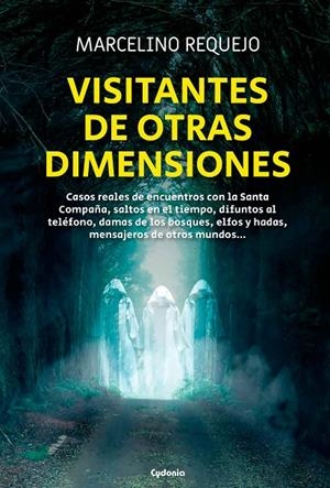 VISITANTES DE OTRAS DIMENSIONES | 9788412772821 | REQUEJO ALONSO, MARCELINO | Galatea Llibres | Llibreria online de Reus, Tarragona | Comprar llibres en català i castellà online