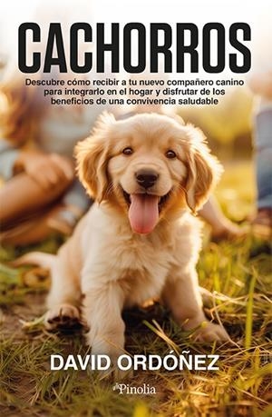 CACHORROS | 9788419878663 | ORDÓÑEZ PÉREZ, DAVID | Galatea Llibres | Llibreria online de Reus, Tarragona | Comprar llibres en català i castellà online