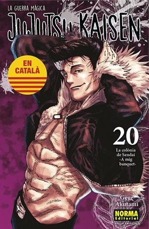 JUJUTSU KAISEN 20 CAT | 9788467969924 | AKUTAMI, GEGE | Galatea Llibres | Librería online de Reus, Tarragona | Comprar libros en catalán y castellano online