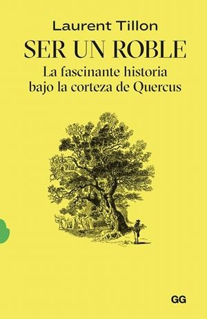 SER UN ROBLE | 9788425235054 | TILLON, LAURENT | Galatea Llibres | Librería online de Reus, Tarragona | Comprar libros en catalán y castellano online