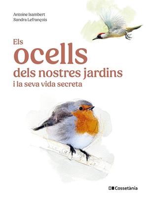ELS OCELLS DELS NOSTRES JARDINS I LA SEVA VIDA SECRETA | 9788413563626 | ISAMBERT, ANTOINE | Galatea Llibres | Librería online de Reus, Tarragona | Comprar libros en catalán y castellano online