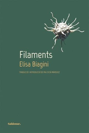 FILAMENTS | 9788419571359 | BIAGINI, ELISA | Galatea Llibres | Llibreria online de Reus, Tarragona | Comprar llibres en català i castellà online