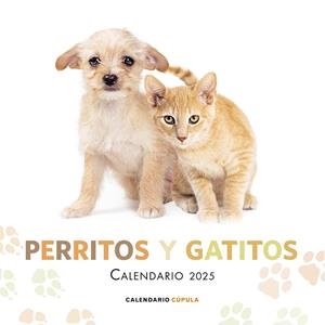 CALENDARIO PERRITOS Y GATITOS 2025 | 9788448041632 | Galatea Llibres | Librería online de Reus, Tarragona | Comprar libros en catalán y castellano online