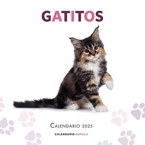 CALENDARIO GATITOS 2025 | 9788448041656 | Galatea Llibres | Llibreria online de Reus, Tarragona | Comprar llibres en català i castellà online