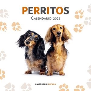 CALENDARIO PERRITOS 2025 | 9788448041649 | Galatea Llibres | Librería online de Reus, Tarragona | Comprar libros en catalán y castellano online