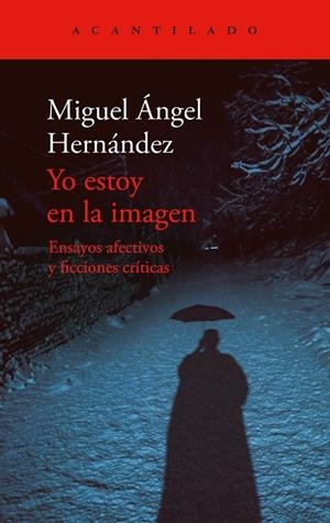 YO ESTOY EN LA IMAGEN | 9788419958235 | HERNÁNDEZ, MIGUEL ÁNGEL | Galatea Llibres | Llibreria online de Reus, Tarragona | Comprar llibres en català i castellà online