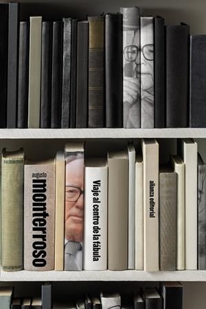 VIAJE AL CENTRO DE LA FÁBULA | 9788411487696 | MONTERROSO, AUGUSTO | Galatea Llibres | Llibreria online de Reus, Tarragona | Comprar llibres en català i castellà online