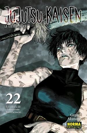 JUJUTSU KAISEN 22 CAT | 9788467969948 | AKUTAMI, GEGE | Galatea Llibres | Librería online de Reus, Tarragona | Comprar libros en catalán y castellano online