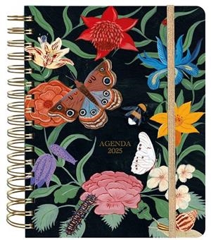 AGENDA ANUAL SEMANAL 2025 BRIANDA | 9788419215314 | FITZ JAMES STUART, BRIANDA | Galatea Llibres | Librería online de Reus, Tarragona | Comprar libros en catalán y castellano online