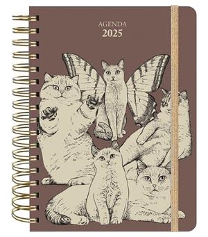 AGENDA ANUAL SEMANAL 2025 LAURA AGUSTÍ | 9788419215338 | Galatea Llibres | Llibreria online de Reus, Tarragona | Comprar llibres en català i castellà online