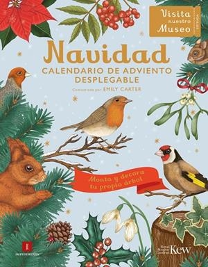 NAVIDAD. CALENDARIO DE ADVIENTO DESPLEGABLE | 9788419581624 | CARTER, EMILY | Galatea Llibres | Llibreria online de Reus, Tarragona | Comprar llibres en català i castellà online