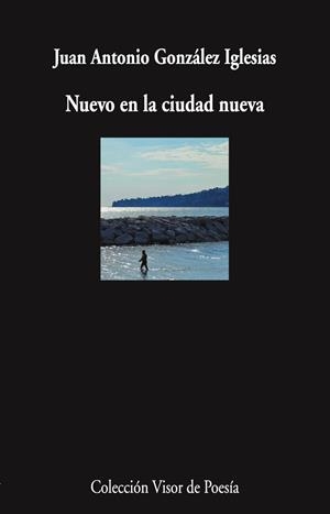 NUEVO EN LA CIUDAD NUEVA | 9788498955910 | GONZÁLEZ IGLESIAS, JUAN ANTONIO | Galatea Llibres | Librería online de Reus, Tarragona | Comprar libros en catalán y castellano online