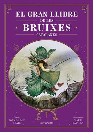 EL GRAN LLIBRE DE LES BRUIXES CATALANES | 9788410161337 | PRATS, JOAN DE DÉU / PADILLA, MARIA | Galatea Llibres | Librería online de Reus, Tarragona | Comprar libros en catalán y castellano online