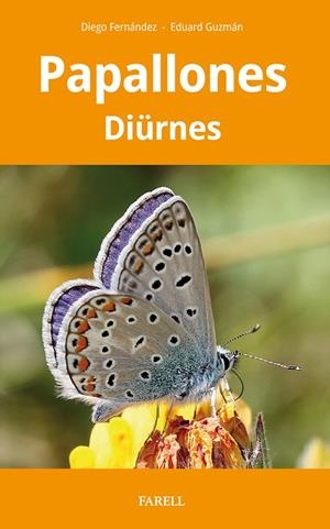 PAPALLONES DIÜRNES DE CATALUNYA | 9788417116934 | FERNÁNDEZ RUIZ, DIEGO/GUZMÁN LLANSA, EDUARD | Galatea Llibres | Llibreria online de Reus, Tarragona | Comprar llibres en català i castellà online