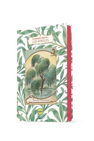 EL PEQUEÑO LIBRO DE LOS ÁRBOLES | 9788412795677 | PEN DU, DOMINIQUE | Galatea Llibres | Llibreria online de Reus, Tarragona | Comprar llibres en català i castellà online