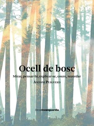 OCELL DE BOSC | 9788418604461 | PUIGVERD ROMAGUERA, ANTONI | Galatea Llibres | Llibreria online de Reus, Tarragona | Comprar llibres en català i castellà online