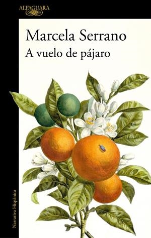 A VUELO DE PÁJARO | 9788420477978 | SERRANO, MARCELA | Galatea Llibres | Llibreria online de Reus, Tarragona | Comprar llibres en català i castellà online