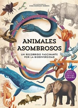 ANIMALES ASOMBROSOS | 9788410269101 | Galatea Llibres | Llibreria online de Reus, Tarragona | Comprar llibres en català i castellà online