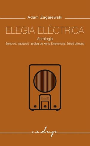 ELEGIA ELÈCTRICA | 9788412843347 | ZAGAJEKSKI, ADAM | Galatea Llibres | Librería online de Reus, Tarragona | Comprar libros en catalán y castellano online