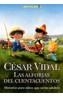 ALFORJAS DEL CUENTACUENTOS, LAS | 9788496088412 | VIDAL, CESAR | Galatea Llibres | Llibreria online de Reus, Tarragona | Comprar llibres en català i castellà online