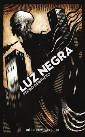 LUZ NEGRA | 9788445019917 | BERRUEZO, PEDRO | Galatea Llibres | Llibreria online de Reus, Tarragona | Comprar llibres en català i castellà online