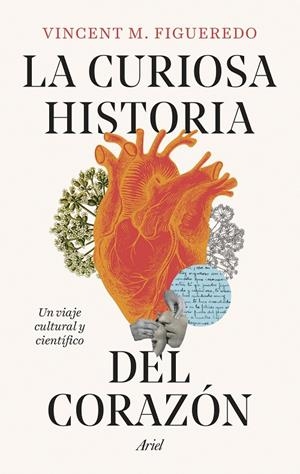 LA CURIOSA HISTORIA DEL CORAZÓN | 9788434438392 | FIGUEREDO, VINCENT M. | Galatea Llibres | Llibreria online de Reus, Tarragona | Comprar llibres en català i castellà online