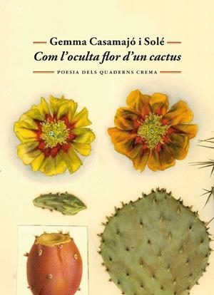 COM L'OCULTA FLOR D'UN CACTUS | 9788477277071 | GEMMA CASAMAJÓ I SOLÉ | Galatea Llibres | Llibreria online de Reus, Tarragona | Comprar llibres en català i castellà online