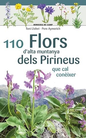 110 FLORS D'ALTA MUNTANYA DELS PIRINEUS | 9788413564647 | AYMERICH, PERE | Galatea Llibres | Librería online de Reus, Tarragona | Comprar libros en catalán y castellano online