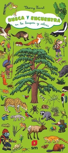 BUSCA Y ENCUENTRA EN LOS BOSQUES Y SELVAS | 9788411827089 | LAVAL, THIERRY | Galatea Llibres | Llibreria online de Reus, Tarragona | Comprar llibres en català i castellà online