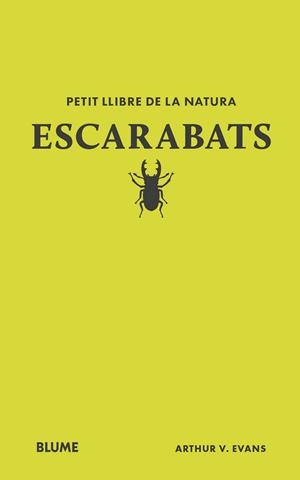 PETIT LLIBRE DE LA NATURA. ESCARABATS | 9788410268746 | EVANS, ARTHUR V | Galatea Llibres | Llibreria online de Reus, Tarragona | Comprar llibres en català i castellà online